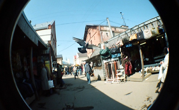 Tests: Dodies pasaulē ar zivs aci! Fisheye